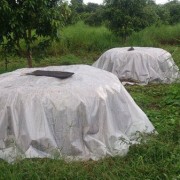 Siem Reap Compost Pile